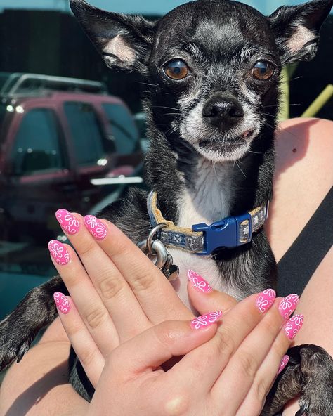 Spongebob Flowers Nails, Spongebob Nail Art, Spongebob Nails, Pink Flower Nails, Ocean Stuff, Spongebob Square, Routine Tips, Pink Polish, Beauty Routine Tips