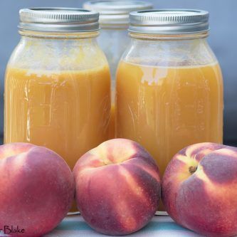 Fresh Peach Nectar - Print Peach Nectar Recipe, Peach Farm, Palisade Colorado, Candy Flavors, Canning Peaches, Peach Drinks, Peach Nectar, Juicy Peach, Peach Juice