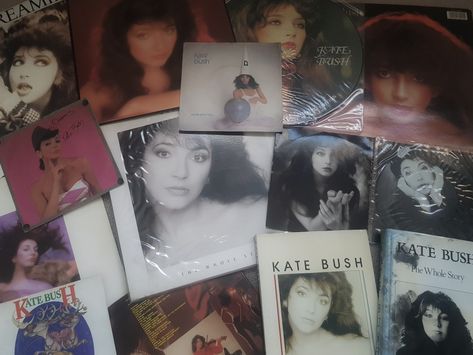 kate bush collection 80s Music Aesthetic, Kate Bush Vinyl, Kate Bush Aesthetic, Cat In The Dark, Vinyl Aesthetic, Alternative Indie, Kate Bush, My Music Taste, Music Cds