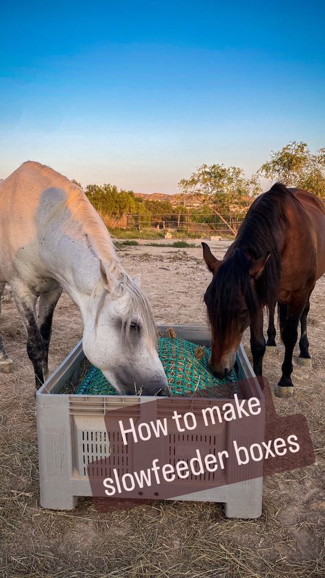 DIY • Instagram Diy Horse Obstacles, Diy Hay Bags For Horses, Desensitizing Horses Ideas, Barn Hacks Horse, Diy Hay Slow Feeder For Horses, Horse Enrichment, Diy Horse Jump Standards, Equine Barns, Diy Instagram