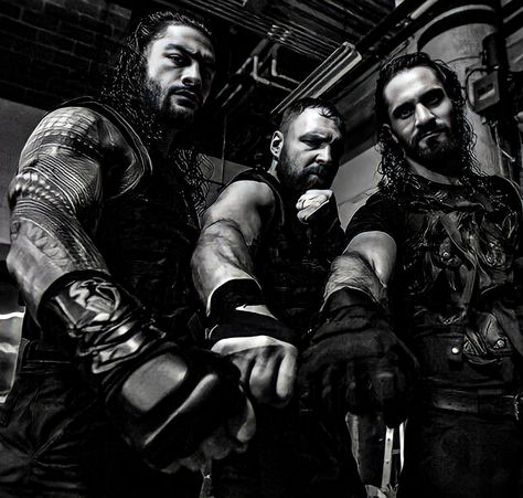 Seth Rollins Roman Reigns, Dean Ambrose And Seth Rollins, Wwe The Shield Wallpaper, Seth Rollins Shield, Dean Ambrose Shield, Wwe Shield, Wwe The Shield, Shield Wwe, The Shield Wwe