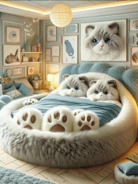 Catified Bedroom, Cute Cat Stuff For Bedrooms, Fancy Cat Bed, Cat In Bedroom Aesthetic, Princess Cat Bed, Cat Bedroom, Funny Cute Cats, All About Cats, Cute Animal Photos