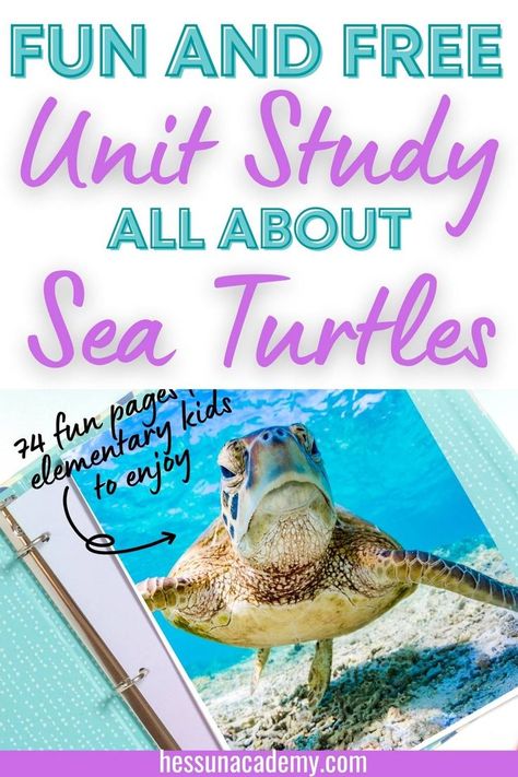 Research Project Ideas, Ocean Lesson Plans, Free Unit Study, Turtle Activities, Unit Studies Homeschool, Free Homeschool Resources, Ocean Unit, Turtle Crafts, Homeschool Lesson Plans