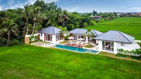 Stunning 2 Bdr Paddy View Villa 5mins to Central - Villas for Rent in Kecamatan Ubud, Bali, Indonesia - Airbnb Farm Villa House, 2 Bedroom Villa, Bali Villa Design, Villa Bali, Paddy Field House, Paddy Field Villa, Ubud Bali Villa, Bali Resort Villa Design, Bali Villa