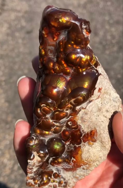 Fire Agate Fire Agate Crystal, Fire Agate Jewelry, Fire Agate Ring, Gem Hunt, Gem Silica, Rocks And Fossils, Crystal Vibes, Crystal Aesthetic, Gemstone Properties