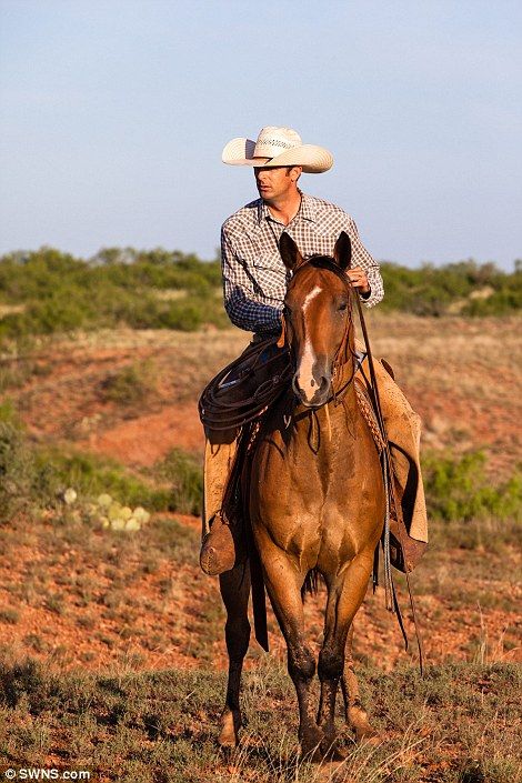 Texas Ranch Aesthetic, Archway Mural, Cattle Ranch Aesthetic, Ranch Horse Show, Texas Ranches, King Ranch Texas, Ranch Life Real Cowboys, Working Cowboys Ranch Life, Cowboys On Horses