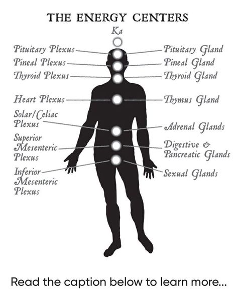 Dr. Joe Dispenza on Instagram: “I want to explain how your energy centers (or as some refer to as "chakras") work. Think of each of them as an individual center of…” Life Coach Marketing, Health Coach Branding, Level Of Consciousness, Chakra Mantra, Chakra Health, Dr Joe Dispenza, Core Work, Energy Centers, Energy Healing Reiki