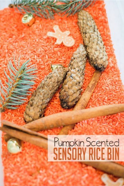 Pumpkin Sensory Bin, Pumpkin Sensory, Teaching Kids Letters, Sensory Rice, Fall Sensory Bin, Fall Themes, Homemade Paint, Family Day Care, Pumpkin Scent