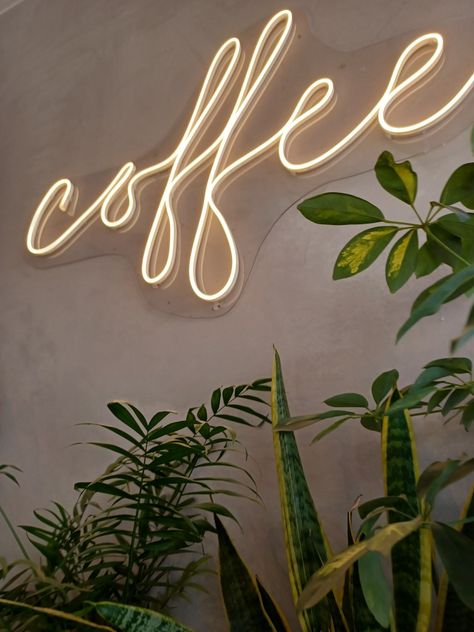 Coffee Plant Wallpaper, Coffee And Plants Aesthetic, Coffee Shop Plants, Aesthetic Kitchens, Olive Green Wallpaper, Coffee Shop Signs, Coffee Counter, Small Coffee Shop, Coffee Cart