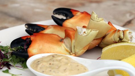 Let's dip: 5 recipes to complement stone crab Stone Crab Mustard Sauce Recipe, Crab Dipping Sauce, Crab Claw Recipes, Crab Sauce Recipe, Stone Crab Claws, Ginger Scallion Sauce, Shrimp N Grits Recipe, Mustard Dip, Stone Crab