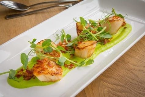 Scallops with Yorkshire pea puree, crispy bacon, peashoots recipe by professional chef Nick Tulip Scallops Pea Puree, Fine Dining Brunch, Scallops Appetizer, Fancy Starters, Cook Scallops, Seafood Entree, Seafood Night, Sauteed Scallops, Bite Size Appetizers Easy