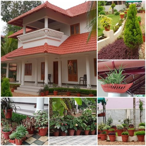 Kerala home and home garden..lush green Kerala Landscape, Kerala Traditional House, Lawn Roller, Board Layout, India House, Backyard Gardens, Indian Garden, Small Floor Plans, Courtyard House Plans