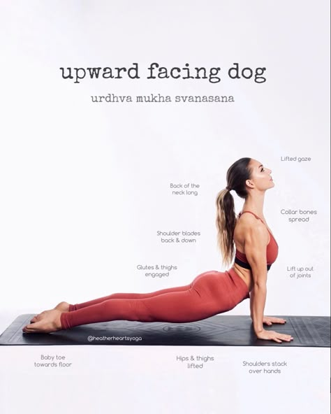 Yoga Poses Pictures, Yoga Inspiration Photos, Yoga Teacher Resources, Yoga Information, Yoga Sculpt, Upward Facing Dog, Yoga Illustration, Yoga Movement, Yoga Tutorial