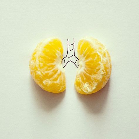 Conceptual Photo, Creative Illustration, Whimsical Illustration, Lungs, Everyday Objects, Simple Art, Art Plastique, Art Director, Photo Illustration