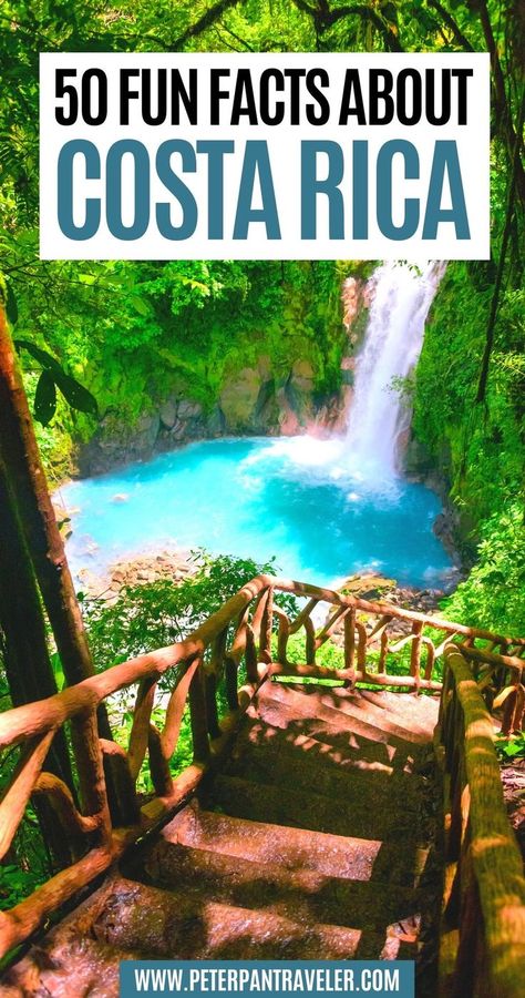 50 Fun Facts about Costa Rica Costa Rica Facts, Costa Rica Aesthetic, Rica Aesthetic, Costa Rica Pura Vida, Costa Rica Adventures, Visit Costa Rica, Costa Rica Vacation, Budget Travel Destinations, Central America Travel