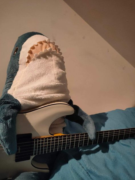 Stuffed Shark, Guitar