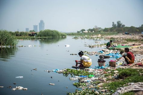 Scientists and activists in India are training citizens to collect information on water issues like contamination — and upload it so it can be used to push for change. Water Contamination, Water Issues, Water In The Morning, Contaminated Water, Water And Sanitation, Safe Drinking Water, Water Pollution, World Water, World Population