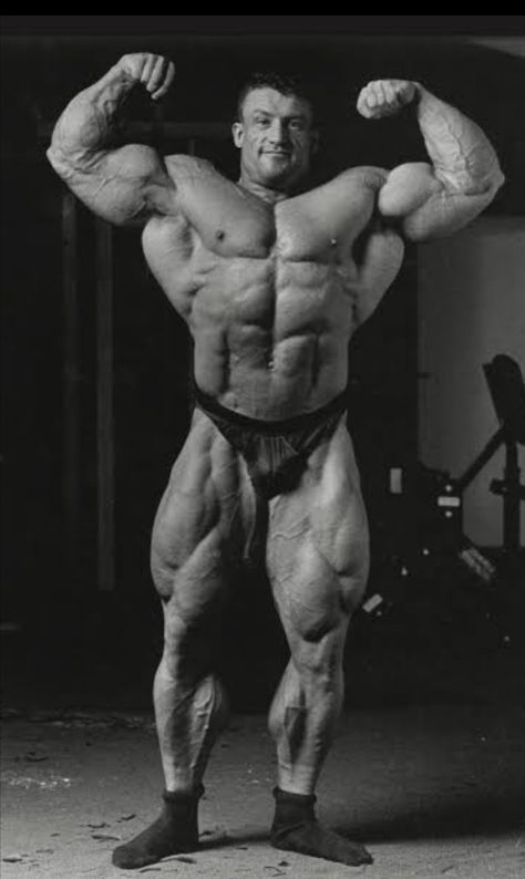 Arnold Schwarzenegger Bodybuilding, Dorian Yates, Schwarzenegger Bodybuilding, Bodybuilding Pictures, Workout Splits, Vitamins And Supplements, Muscle Body, Body Builder, Arnold Schwarzenegger