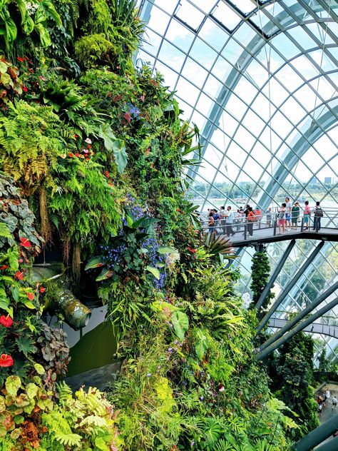 The Cloud Forest Dome in Singapore - an incredible feat of gardening I thought this sub would really appreciate! Its basically a giant terrarium!