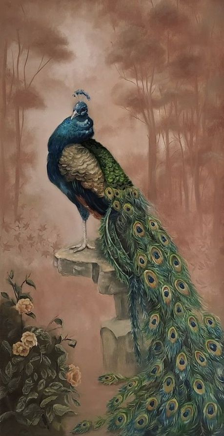 Peacock Oil Painting, Peacocks Paintings, Mughal Peacock, Peacock Art Painting, Peacock Paintings, Peacock Indian, Beginners Canvas Painting, Peacock Photography, Peacock Artwork