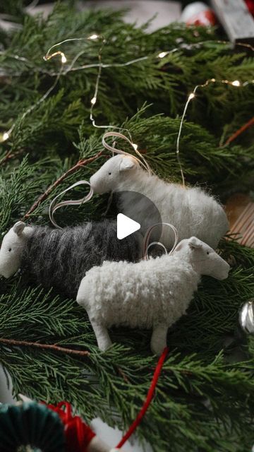 Diy Christmas Toys For Tree, Diy Lamb Ornament, Sheep Diy, Jesus Lamb, Lamb Craft, Christmas Lamb, Sheep Christmas, Sheep Crafts, Group Ideas