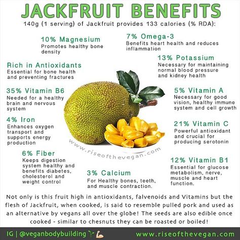 Have you tried jackfruit yet? Jack fruit is the largest fruit in the world weighing from 3 to 30 kg and has oblong or round shape measuring 10cm to 60cm in length 25 to 75cm in diameter! Each tree bears up to 250 jackfruits. It is a rich source of energy dietary fiber minerals and vitamins and free from saturated fats or cholesterol making it a healthy summer treat .  Many vegans around the world choose to harvest and cook the young green jackfruit as an alternative to pulled pork .  Health ... Jackfruit Benefits, Sheet Pan Roasted Vegetables, Pan Roasted Vegetables, Calendula Benefits, Fruit Health Benefits, Magnesium Benefits, Coconut Health Benefits, Benefits Of Coconut Oil, Vegan Fitness