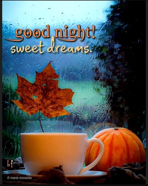 Night Hug, Good Night Hug, Romantic Couple Quotes, Dreamy Images, Good Knight, Good Night Beautiful, Evening Pictures, Autumn Blue, Night Beautiful