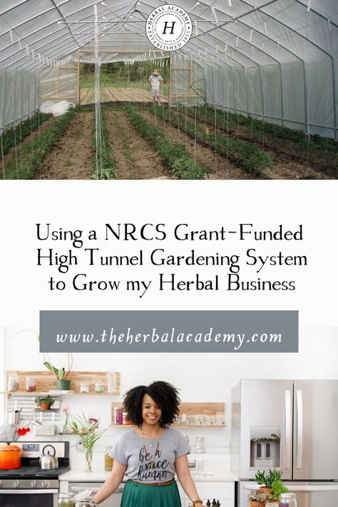 Using a NRCS Grant-Funded High Tunnel Gardening System to Grow my Herbal Business | Herbal Academy | Learn how to get a High Tunnel System for your herb farm with financial assistance via the Environmental Quality Incentives Program. Herbal Business, High Tunnel, Herbal Academy, Personal Garden, Herb Farm, Farm Business, Incentive Programs, Financial Assistance, Herb Garden