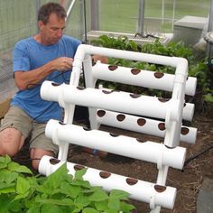 The U-Gro Hydroponic Garden System to allow you to grow your own veggies, strawberries, herbs, and flowers in a very small space. It is great for growing bush beans, basil, swiss chard, spinach, leafy greens and other plants. http://ugrogarden.com Growing Bush Beans, Home Hydroponics, Hydroponic Garden, Hydroponic Farming, Pvc Pipe Projects, Pvc Projects, Hydroponic Growing, Aquaponics System, Have Inspiration