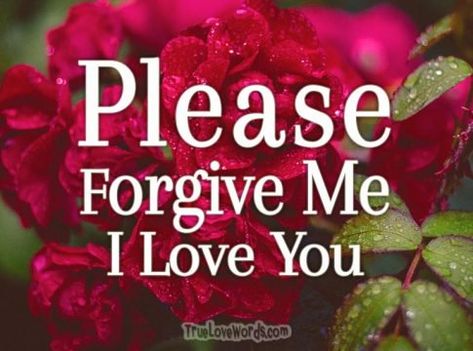 42 Sorry Messages – I’m Sorry Baby Asking For Forgiveness Quotes, Forgive Me Quotes, Im Sorry Quotes, Sorry Baby, Apologizing Quotes, Prayer For Forgiveness, Romantic Good Morning Messages, Sorry Quotes, Forever Love Quotes