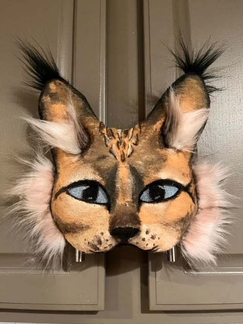 Raccoon Mask, Felt Animal Masks, Caracal Cat, Animal Movement, Therian Mask, Wolf Mask, Fox Mask, Savannah Cat, Tortoise Shell Cat