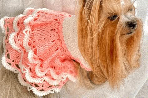 Crochet Pet Accessories Patterns, Crochet Clothes For Dogs Free Pattern, Free Crochet Pattern Dog Sweater, Crochet Dog Clothes Patterns, Diy Dog Dress Pattern Free, Small Dog Sweaters Crochet Free, Crochet Dog Accessories Free Pattern, Crochet Dog Dress Free Pattern, Crochet Dog Dresses Free Pattern