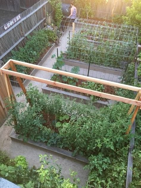 Small Pools Backyard, Tomato Trellis, Lots Of Plants, Diy Garden Trellis, Vertical Vegetable Garden, Vertical Herb Garden, Walled Garden, Garden Plans, Garden Types