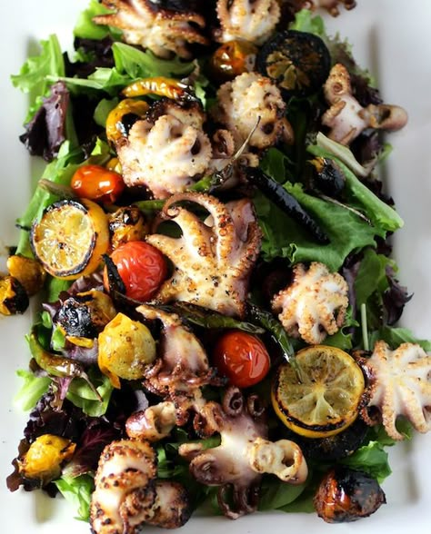 grilled baby octopus salad Octopus Salad, Octopus Recipes, Grilled Salad, Baby Heirloom, Grilled Octopus, Baby Octopus, Grilled Seafood, Seafood Salad, Heirloom Tomatoes