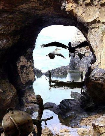 Collage a face from photographs Another one of those perfect timing shots - Imgur Excited Pictures, Optical Illusions Art, Perfectly Timed Photos, Foto Tips, 웃긴 사진, Illusion Art, Perfect Timing, Time Photo, Land Art