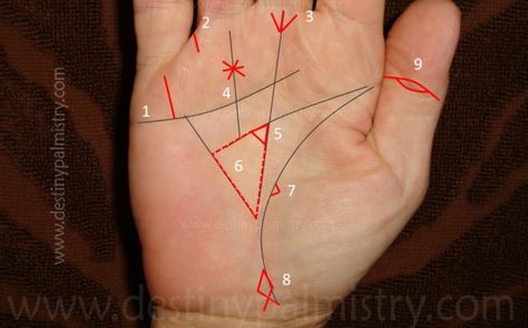 Money Triangle and Other Money Lines - Destiny Palmistry Palm Reading Lines, Sudden Wealth, Indian Palmistry, Palmistry Reading, Indian Symbols, Glyph Tattoo, One Word Tattoos, Literary Tattoos, Triangle Tattoos