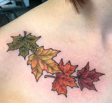 Fall Season Tattoo, Leaves On Stomach Tattoo, Small Fall Leaves Tattoo, Fall Floral Tattoo, Autumn Tatoos Fall, Maple Leaf Tattoo Design, Fall Themed Tattoos, Fall Tattoos For Women, Maple Leaf Vine Tattoo