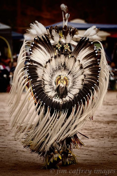 Pow-Wow-Dancer-1 Pow Wow Dancers, Larp Crafts, Native American Dance, Wow Photo, Native American Headdress, Native American Regalia, Native American Wisdom, Native American Images, Native American Clothing