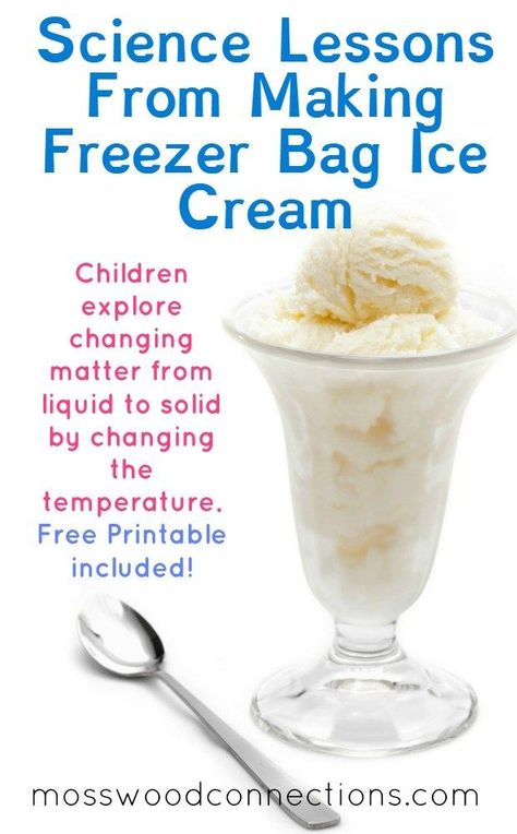 Changing Matter, Ice Cream Science, Bag Ice Cream, Fun Science Activities, Ice Cream In A Bag, Icecream In A Bag, Freezing Point, Kids Recipe, The Scientific Method