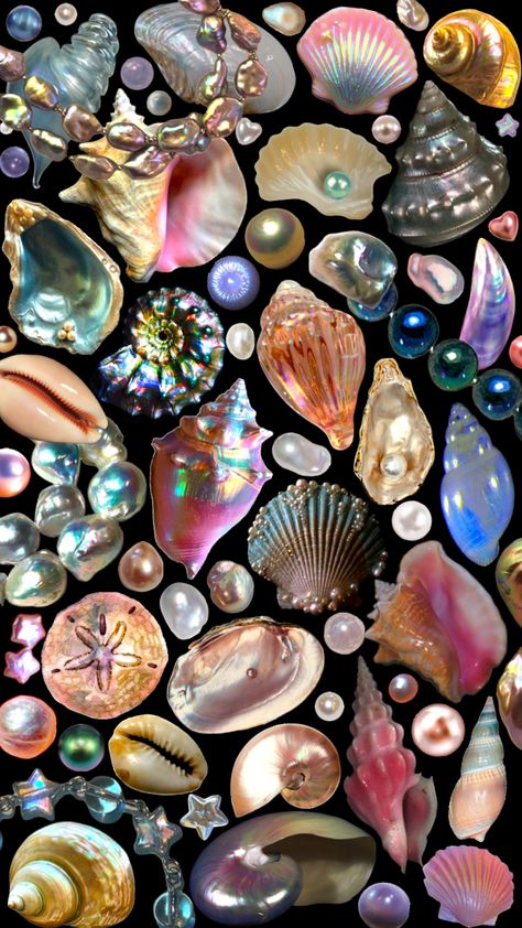 🐚✨#wallpaper #collage #seashells #pearls ￼#aesthetic Pearls Aesthetic, Pearl Wallpaper, Beach Wall Collage, Aesthetic Shuffles, Seashell Painting, Wallpaper Collage, Iphone Wallpaper Themes, Pretty Wallpaper Iphone, Summer Wallpaper