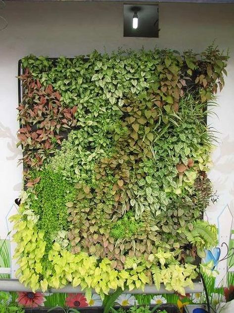 DIY Hydroponics Living Wall | Amazing Hydroponic Systems For Indoor Gardening Hydroponic Wall, Indoor Gardening Diy, Diy Hydroponics, Growing Food Indoors, Indoor Hydroponics, Hydroponic Systems, Hydroponic Farming, Hydroponics Diy, Hydroponic Growing