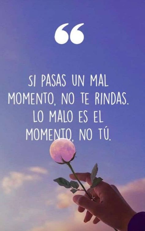 Pull Quotes, Sales Quotes, Positive Phrases, Inspirational Phrases, Philosophy Quotes, Motivational Phrases, Fitness Motivation Quotes, Spanish Quotes, Empowering Quotes