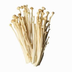 Enoki Mushrooms, Mushroom Species, Mushroom Growing, Edible Mushrooms, Tv Dinner, Stuffed Mushroom Caps, How To Grow Taller, Stir Fries, Small Bottles