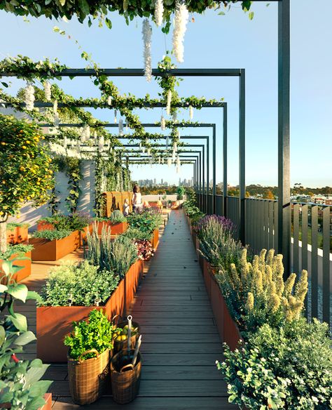 A New Urban Village for Jewell Station – Green Magazine Rooftop Garden Urban, Green Roof Garden, Roof Garden Design, Terrasse Design, Green Roofs, Rooftop Terrace Design, Rooftop Design, Pergola Design, Rooftop Patio