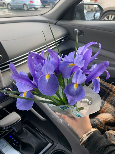 Iris Purple Aesthetic, Purple Iris Flowers Aesthetic, Iris Aesthetic Flower, Iris Flowers Aesthetic, Purple Iris Flowers, Neet Notes, Iris Bouquet, Lavender Bouquet, Boquette Flowers