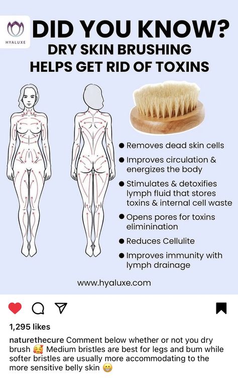 Lymph Drainage At Home, Holistic Skin Care Routine, Lymph Cleanse, Lymph Drainage Massage, Drainage Massage, Lymph Fluid, Lymph Massage, Lymph Drainage, Dry Body Brushing