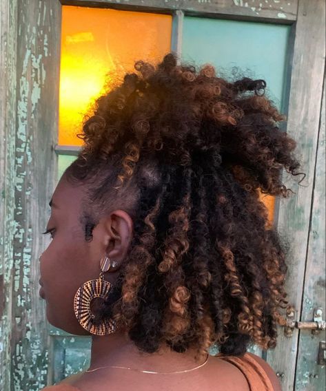 Grey Skunk Stripe Hair, Skunk Stripe Locs, Loc Bun Styles, Dreadlocks Hair Care, Loc Ideas, Curly Locs, Skunk Stripe, Hair Tea, Loc Inspiration