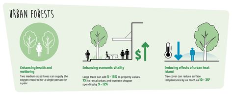 Green.IS | Have Your Say Green Infrastructure, Urban Forest, Phase One, Key Dates, Fact Sheet, Single Person, How To Find Out, Benefits, Tapestry