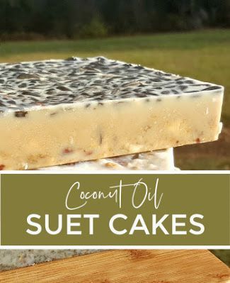 Diy Suet Cakes, Suet Cakes For Chickens, Diy Suet, Backyard Chicken Coop Ideas, Sunflower Seed Recipes, Dried Cranberries Recipes, Suet Recipe, Flock Block, Chicken Tips