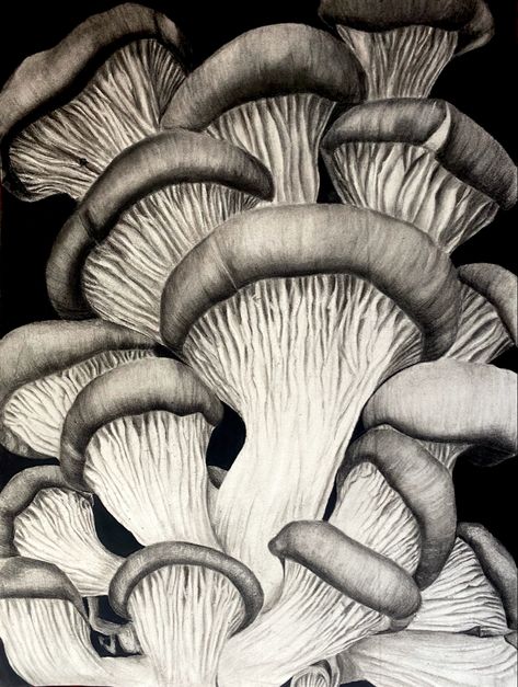 Charcoal Mushroom Drawing, Abstract Mushroom Art, Fungi Drawings, Mushroom Black And White, Black And White Mushroom, Mushrooms Drawing, Abstract Mushroom, Value Drawing, Fungi Art